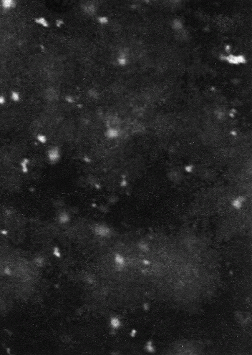 Paysage D'Hiver : Einsamkeit